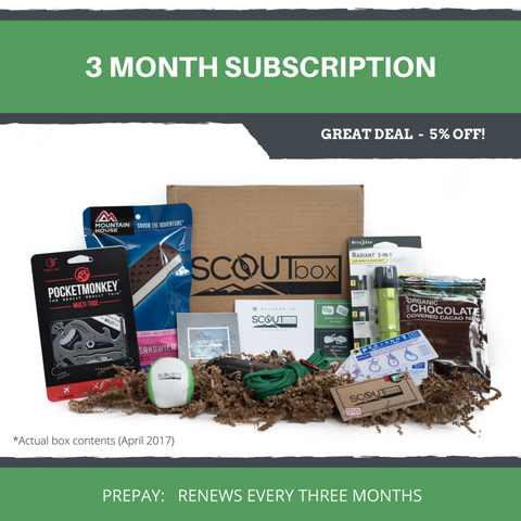 3 Month Subscription